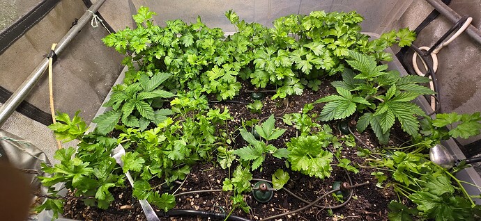 Growreport Bild 16