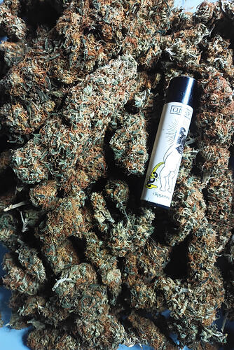 Growreport Bild 10