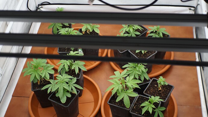 Growreport Bild 2