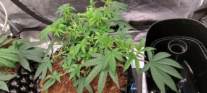 IMG_20251013_092732094_HDR