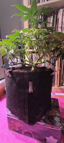 Growreport Bild 11