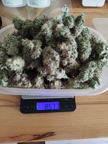 Growreport Bild 4