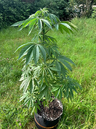 Growreport Bild 3