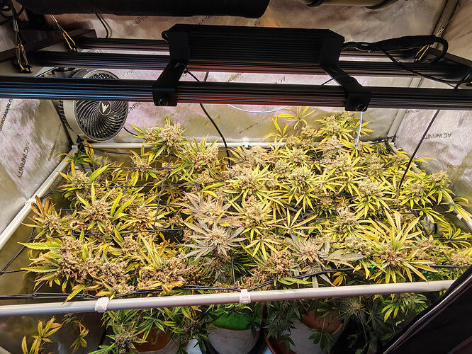 Growreport Bild 1
