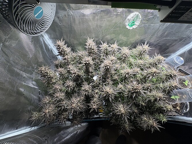 Growreport Bild 14