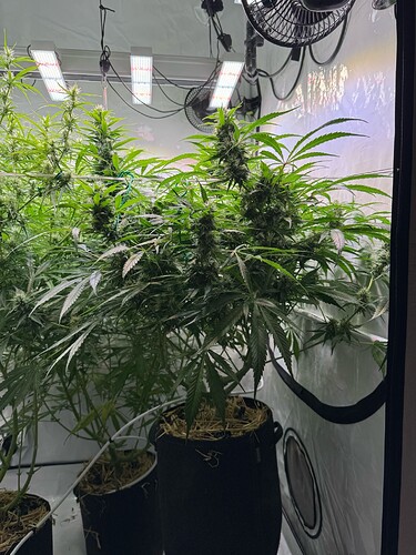 Growreport Bild 7
