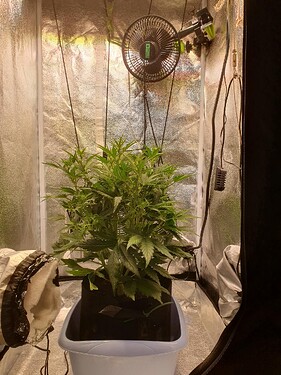 signal-2025-06-01-151358_004