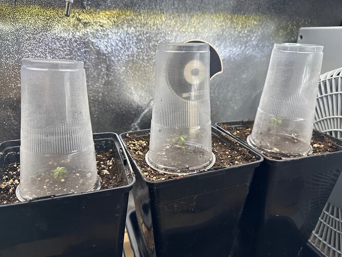 Growreport Bild 15