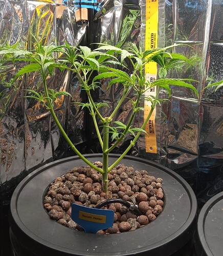 Growreport Bild 1