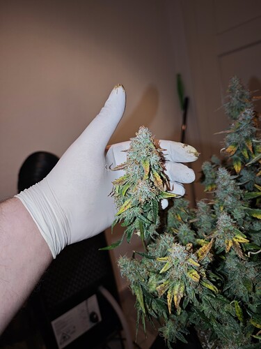 MVIMG_20251204_200259