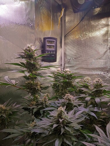 Growreport Bild 5