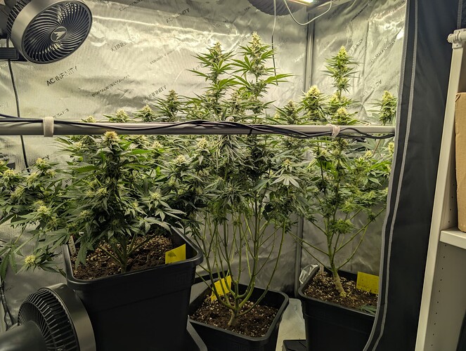 Growreport Bild 1