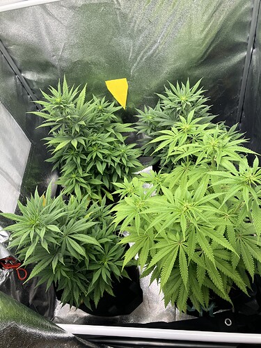 Growreport Bild 5