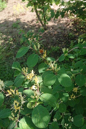 Growreport Bild 45