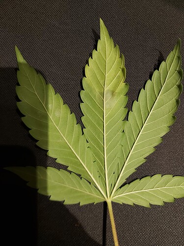 Growreport Bild 6