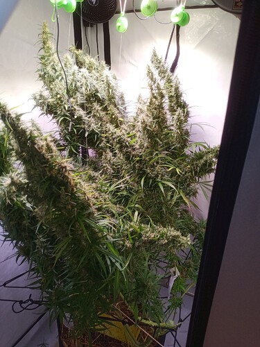 Growreport Bild 14