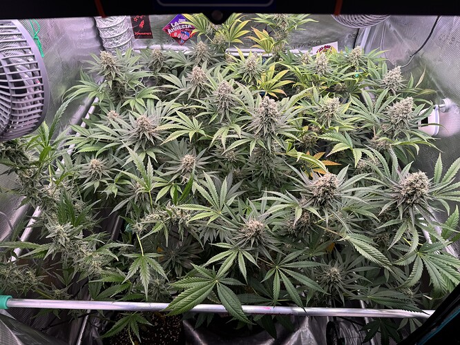 Growreport Bild 4