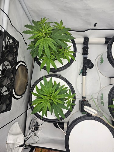 Growreport Bild 19