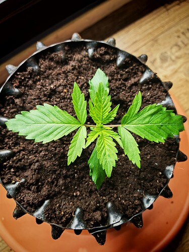 Growreport Bild 4