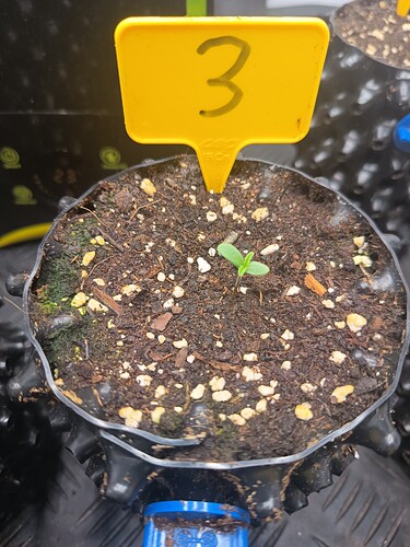 Growreport Bild 25