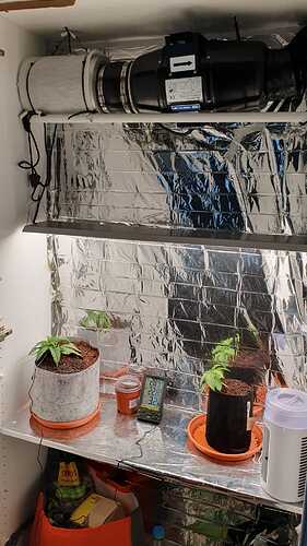 WhatsApp Image 2024-04-18 at 12.13.57 (2)