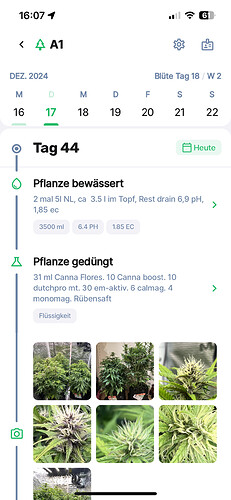 Growreport Bild 14