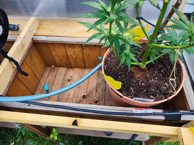 Growreport Bild 23