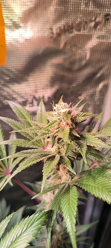 Growreport Bild 12