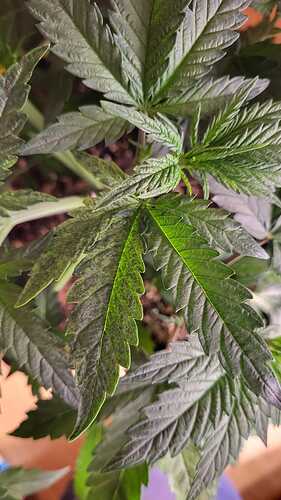 Growreport Bild 18