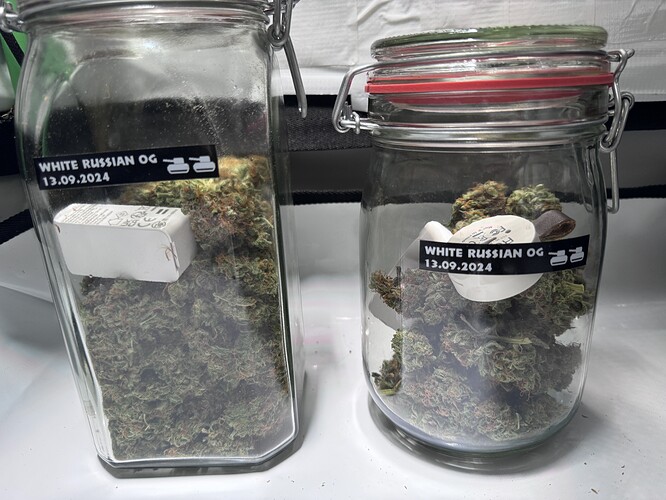 Growreport Bild 38