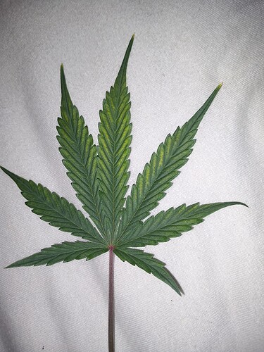 Growreport Bild 4