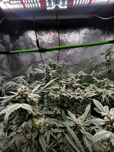 Growreport Bild 9