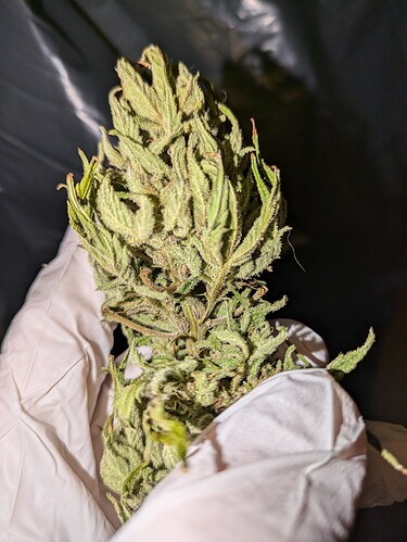 PXL_20240813_144829872