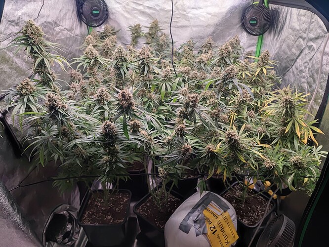 Growreport Bild 13