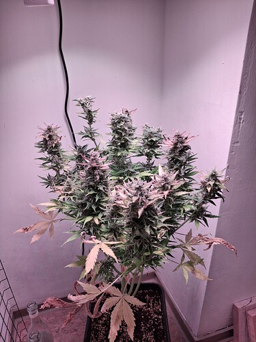 Growreport Bild 28