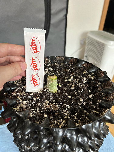 Growreport Bild 15