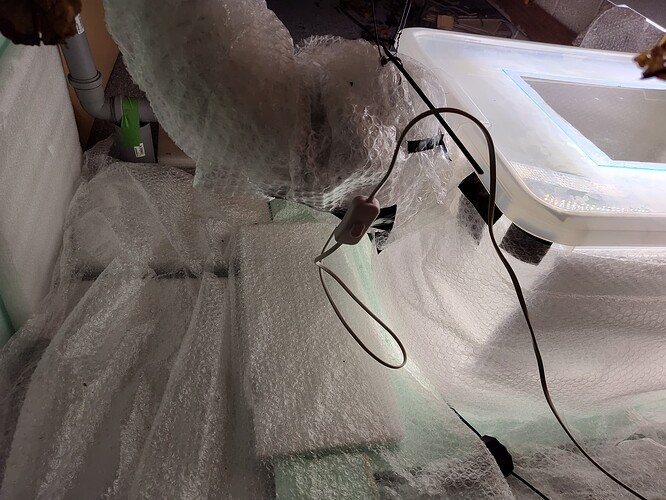 IMG_20251217_193822750_HDR