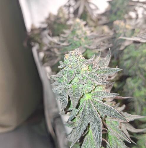 480996672_122170051364293599_6210681280901227007_n