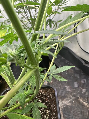 Growreport Bild 11