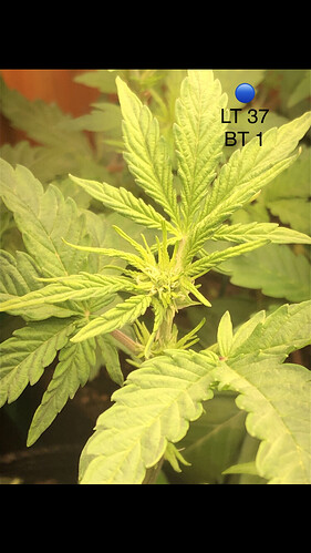 Growreport Bild 1