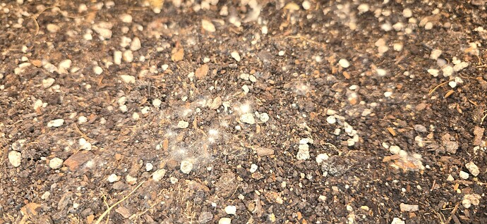 Growreport Bild 14