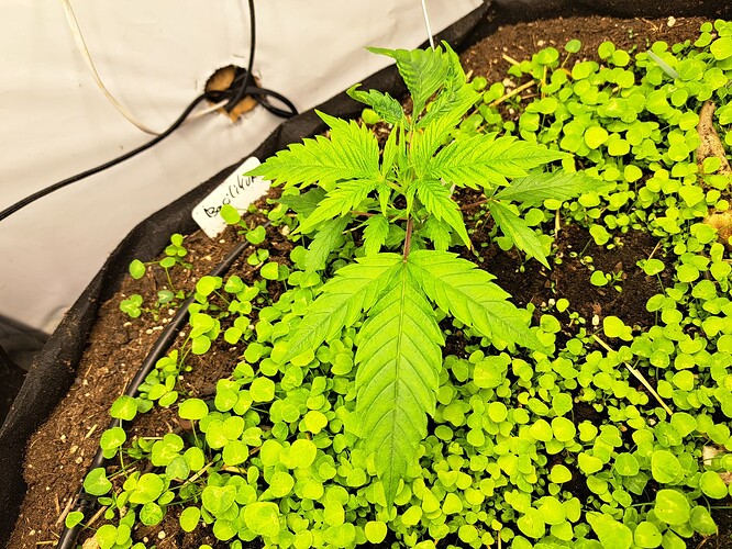 Growreport Bild 12