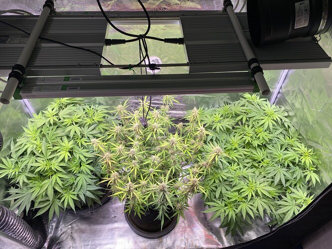 Growreport Bild 10