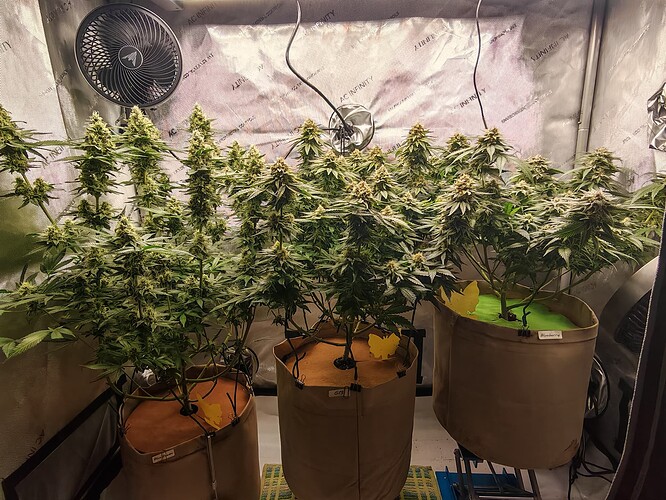 Growreport Bild 9