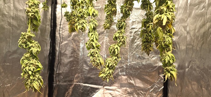 Growreport Bild 1