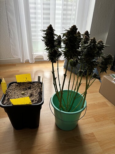 Growreport Bild 92