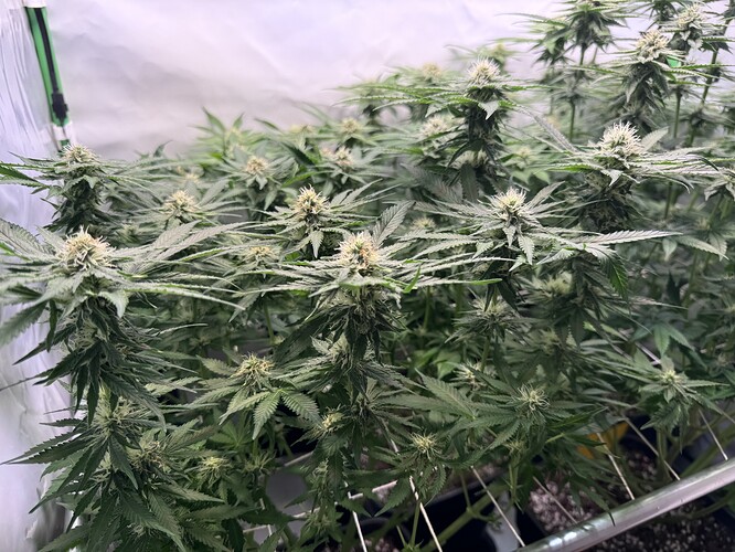 Growreport Bild 10