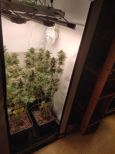 Growreport Bild 34