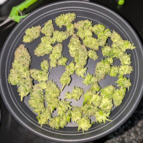 Growreport Bild 15