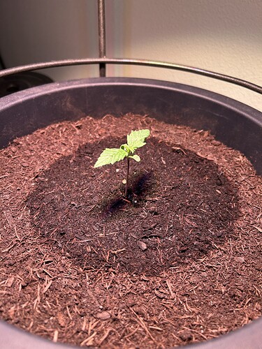 Growreport Bild 2